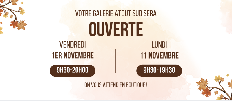 Capture d’écran 2024-10-28 à 11.14.27