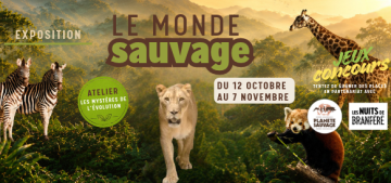 HOMEPAGE-11