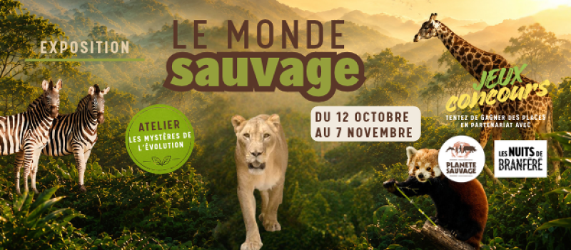HOMEPAGE-11