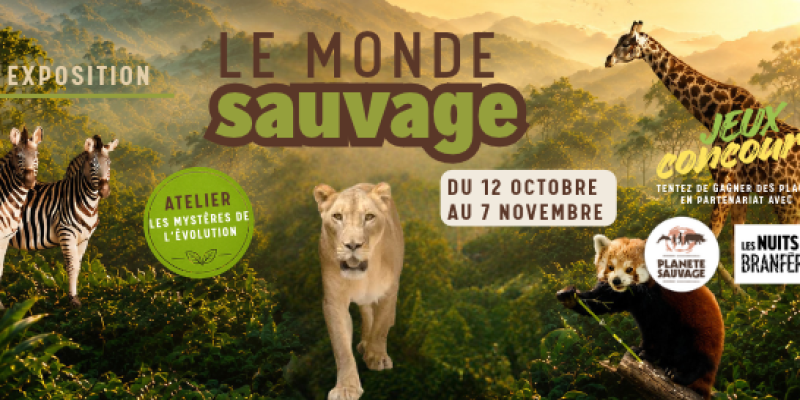 HOMEPAGE-11