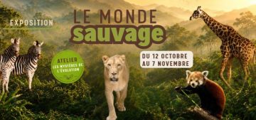 HOMEPAGE le monde sauvage