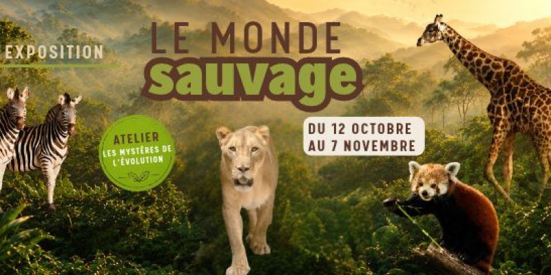 HOMEPAGE le monde sauvage