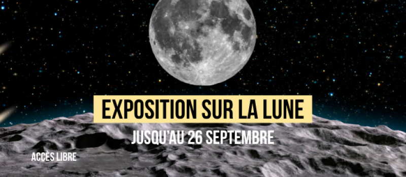 homepage-10